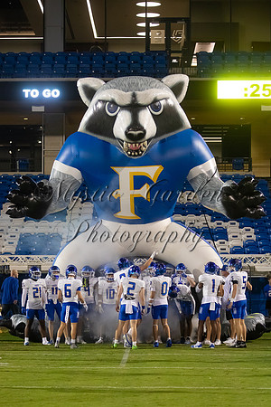 FHSFNL-110625-3899