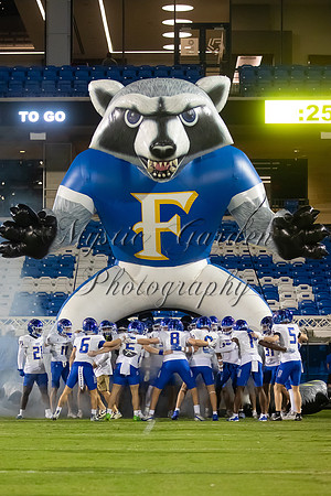 FHSFNL-110625-3904
