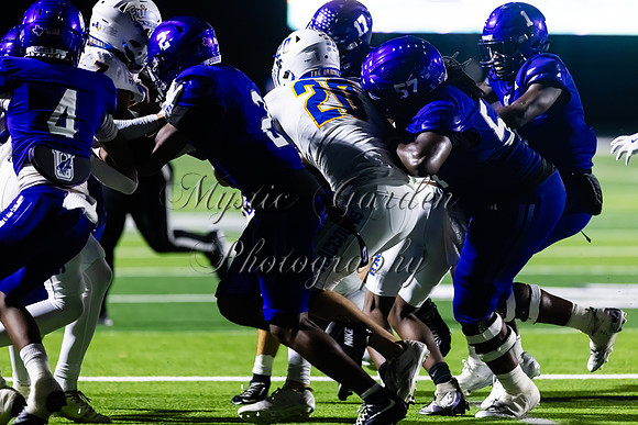 FHSFB-100226-50418