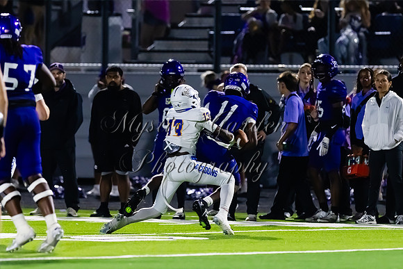 FHSFB-100226-50393