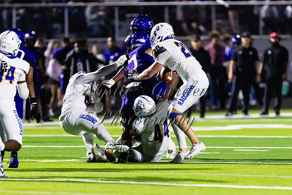 FHSFB-100226-50230