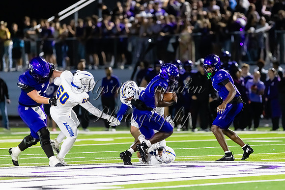 FHSFB-100226-59953