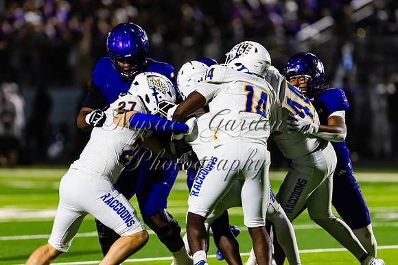 FHSFB-100226-50051