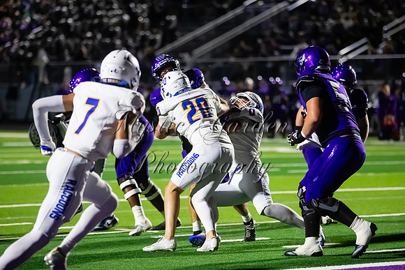 FHSFB-100226-5644