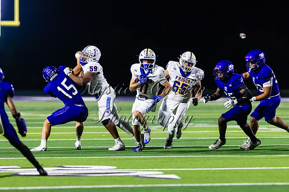 FHSFB-100226-50338