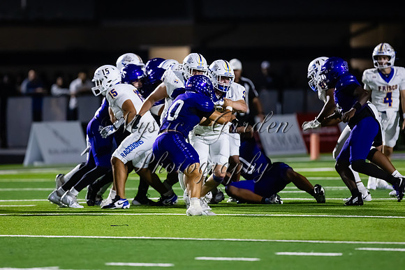 FHSFB-100226-50573