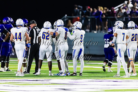 FHSFB-100226-50557