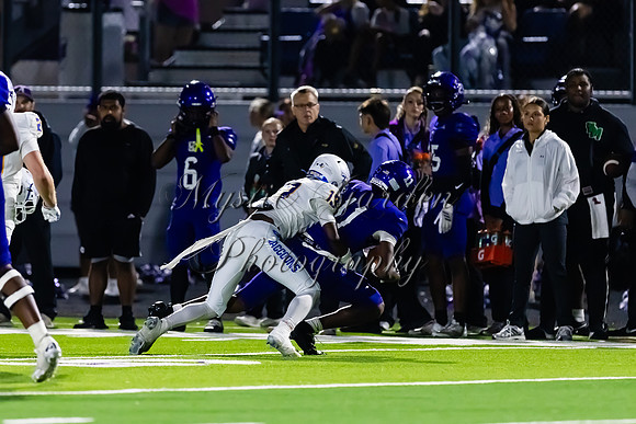 FHSFB-100226-50394