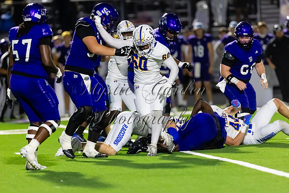 FHSFB-100226-59941