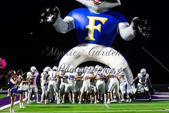 FHSFB-100226-5741