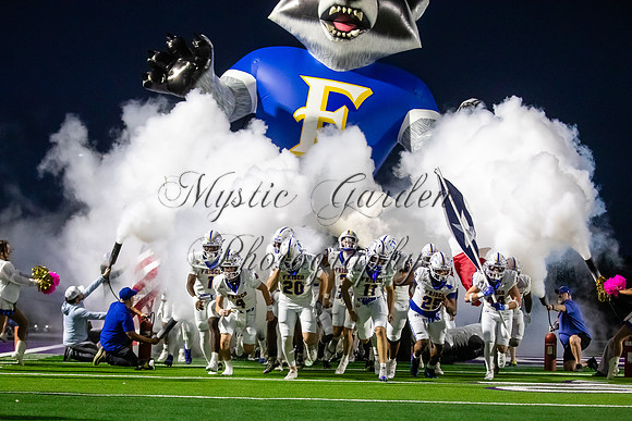 FHSFB-100226-5541