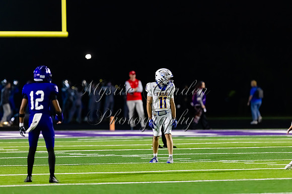 FHSFB-100226-50089