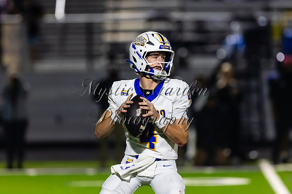FHSFB-100226-50249
