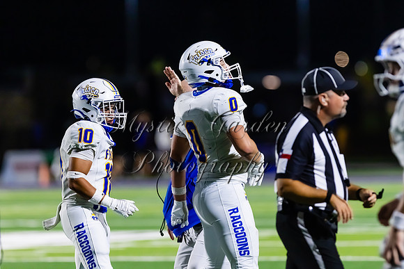 FHSFB-100226-50310