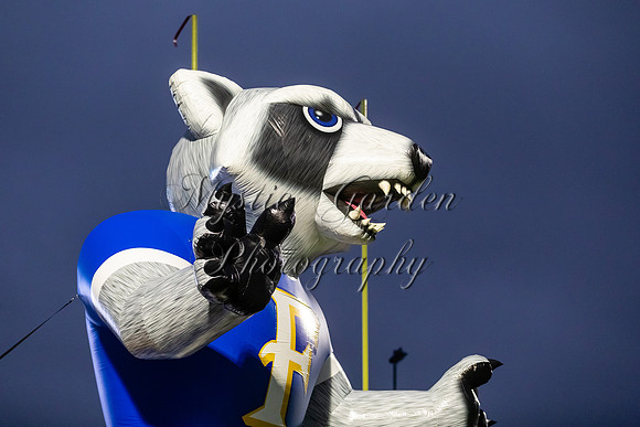 FHSFB-100226-5515