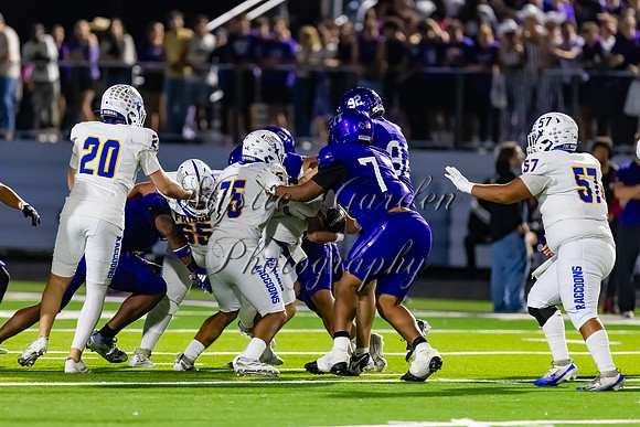 FHSFB-100226-50024
