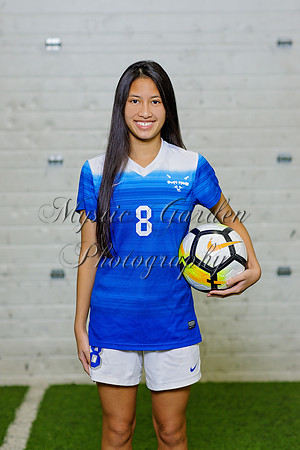 FHSSPS-121120-9301