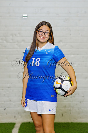 FHSSPS-121120-9316
