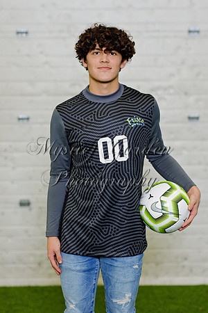 FHSSPS-121120-9370