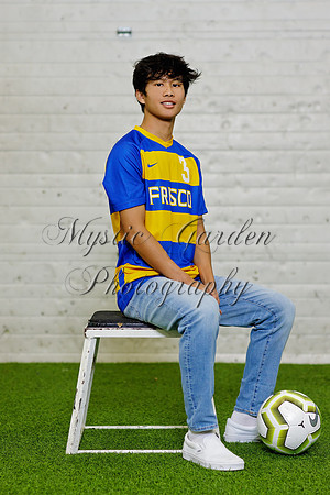 FHSSPS-121120-9390