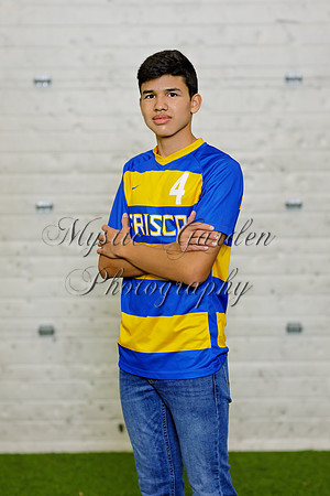 FHSSPS-121120-9395