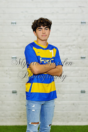 FHSSPS-121120-9413