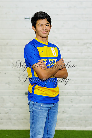 FHSSPS-121120-9417