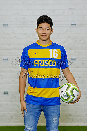 FHSSPS-121120-9448