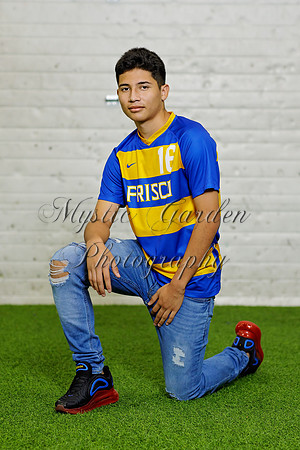 FHSSPS-121120-9450