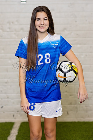 FHSSPS-121120-0113