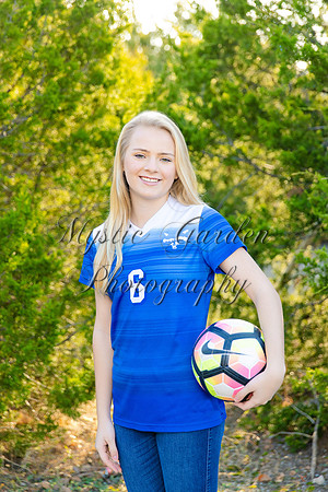 FHSSPS-120619-7439