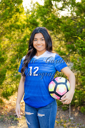 FHSSPS-120619-7449