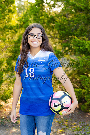 FHSSPS-120619-7460